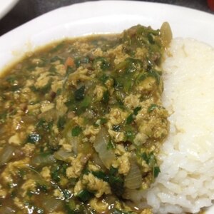 ほうれん草とひき肉のカレー